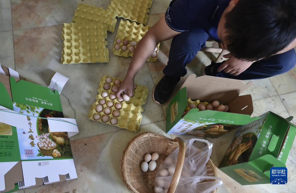 奥门永利官网